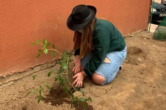 60 plantas autóctonas aportan más verdor al IES El Calero/TA.